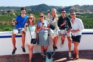 Из Албуфейры: тур с дегустацией вин на целый день с гидом