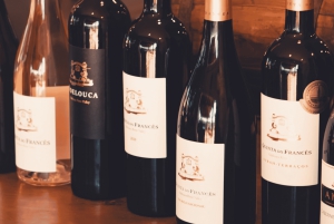 Из Албуфейры: тур с дегустацией вин на целый день с гидом