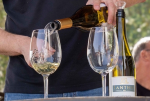 Из Албуфейры: тур с дегустацией вин на целый день с гидом