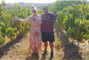 Из Албуфейры: тур с дегустацией вин на целый день с гидом