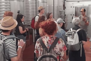 Из Албуфейры: тур с дегустацией вин на целый день с гидом