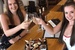 Из Албуфейры: тур с дегустацией вин на целый день с гидом