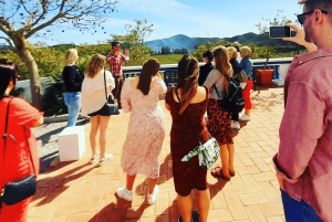 Из Албуфейры: тур с дегустацией вин на целый день с гидом