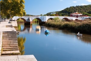 Из Албуфейры: тур с дегустацией вин на целый день с гидом