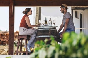 Из Албуфейры: тур с дегустацией вин на целый день с гидом