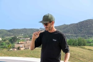 Из Албуфейры: тур с дегустацией вин на целый день с гидом