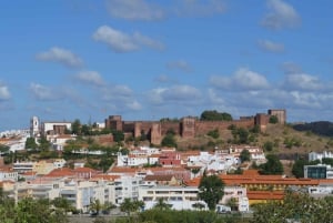 Из Албуфейры: тур с дегустацией вин на целый день с гидом