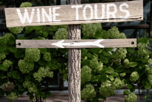 Из Албуфейры: тур с дегустацией вин на целый день с гидом