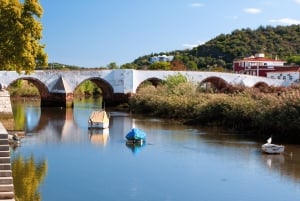 Из Албуфейры: тур с дегустацией вин на целый день с гидом