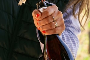 Из Албуфейры: тур с дегустацией вин на целый день с гидом