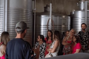 Из Албуфейры: тур с дегустацией вин на целый день с гидом