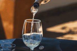 Из Албуфейры: тур с дегустацией вин на целый день с гидом