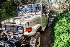 From Albufeira: Half-Day Algarve Jeep Safari