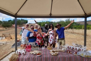 From Albufeira: Half-Day Algarve Off-Road Jeep Safari