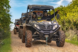 From Albufeira: Half-Day Buggy Adventure Tour