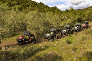From Albufeira: Half-Day Buggy Adventure Tour