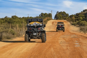 From Albufeira: Half-Day Buggy Adventure Tour