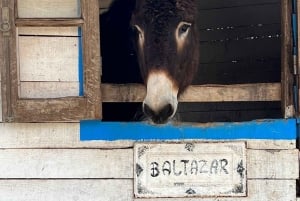 From Albufeira: Half-Day Countryside Jeep Safari Tour