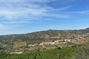 From Albufeira: Half-Day Countryside Jeep Safari Tour