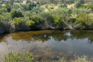 From Albufeira: Half-Day Countryside Jeep Safari Tour