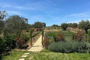 From Albufeira: Half-Day Countryside Jeep Safari Tour