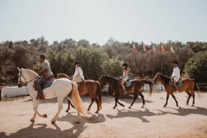 Fra Albufeira: Halvdagstur til skjulte perler og ridning