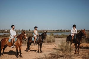 From Albufeira: Half-Day Hidden Gems & Horse Riding Tour