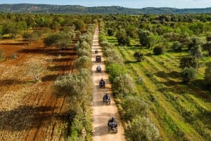 From Albufeira: Half-Day Off-Road Quad Tour