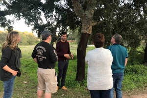From Albufeira: Half-Day Winery Tour and Silves