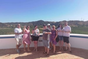 Fra Albufeira: Halvdagstur til en vingård og Silves