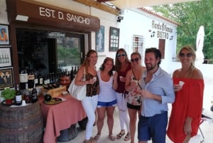 Ab Albufeira: Halbtagestour durch die Weinkeller und Silves