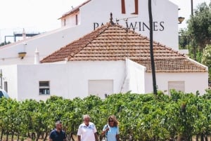 Fra Albufeira: Halvdagstur til en vingård og Silves