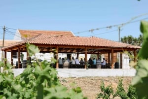 Fra Albufeira: Halvdagstur til vingårde og Silves
