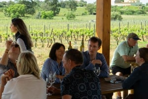 De Albufeira: excursão de meio dia às vinícolas e Silves