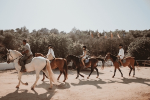 From Albufeira: Horse Riding Tour with Pickup