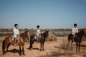 From Albufeira: Horse Riding Tour with Pickup