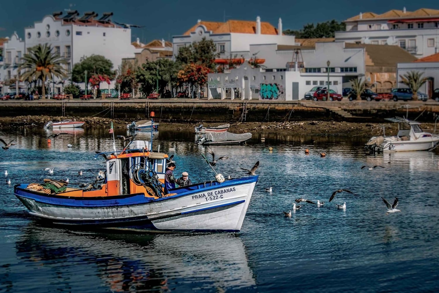 Fra Albufeira: Guidet dagstur til Loule, Faro og Tavira