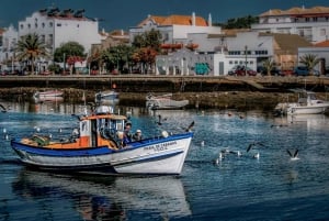 Desde Albufeira: excursión guiada de un día a Loulé, Faro y Tavira