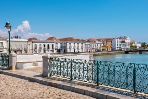 Desde Albufeira: excursión guiada de un día a Loulé, Faro y Tavira