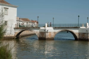 Desde Albufeira: excursión guiada de un día a Loulé, Faro y Tavira