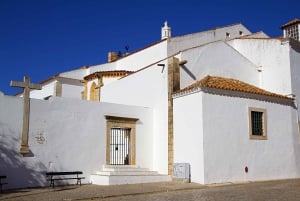 Desde Albufeira: excursión guiada de un día a Loulé, Faro y Tavira