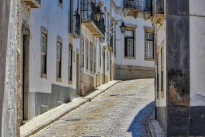 Desde Albufeira: excursión guiada de un día a Loulé, Faro y Tavira
