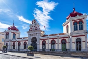 Fra Albufeira: Guidet dagstur til Loule, Faro og Tavira