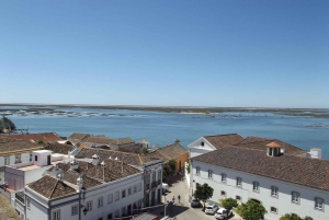 Fra Albufeira: Guidet dagstur til Loule, Faro og Tavira