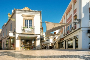 Fra Albufeira: Guidet dagstur til Loule, Faro og Tavira