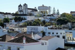 Fra Albufeira: Guidet dagstur til Loule, Faro og Tavira