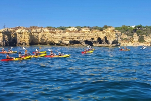 From Albufeira Marina: Benagil Caves Kayaking