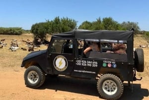 Albufeira Safari with entrance in Krazy World & Bone Chapel