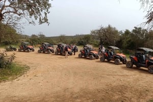 From Albufeira: Paderne Adventure Buggy Ride