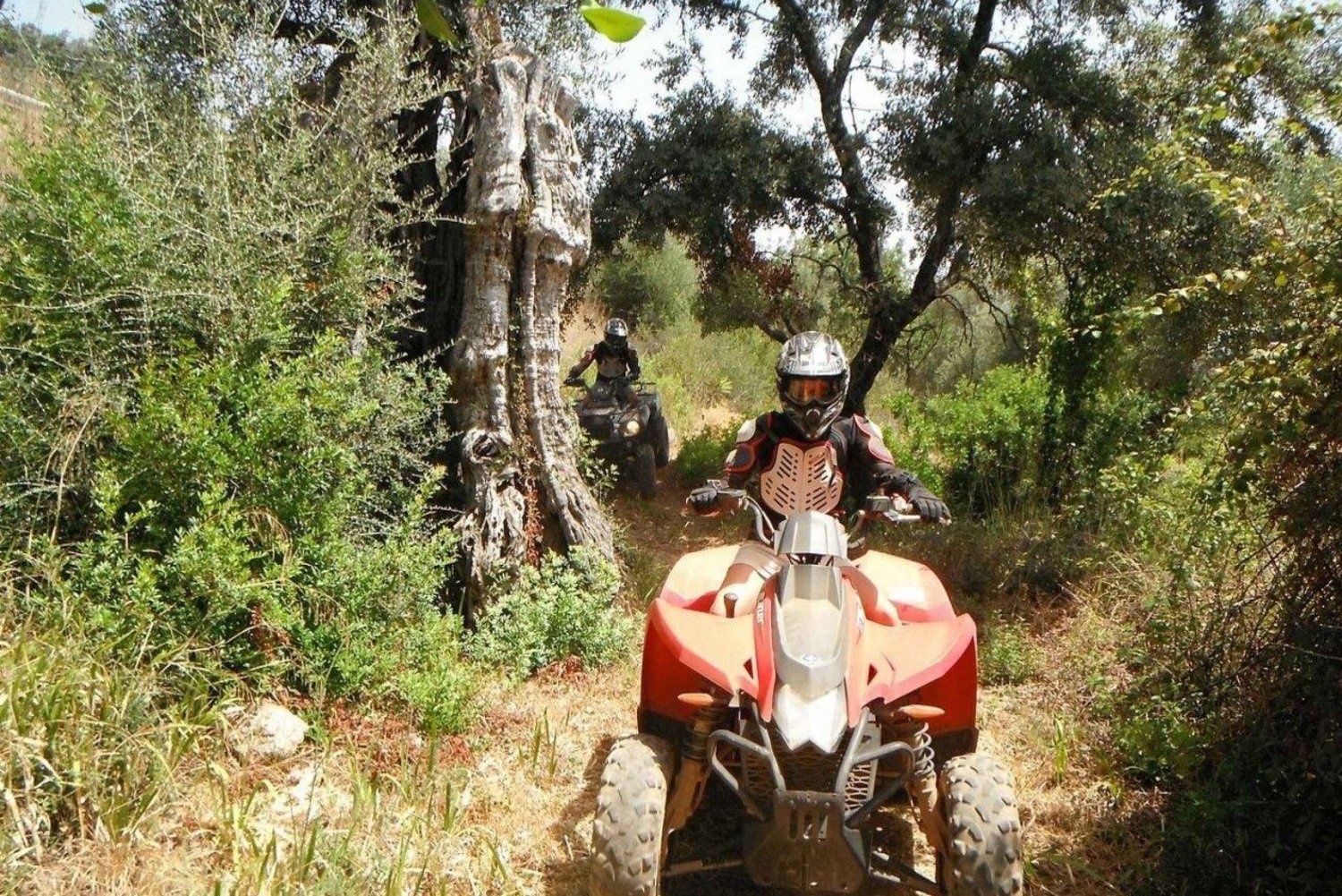 From Albufeira: Paderne Adventure Quad Ride